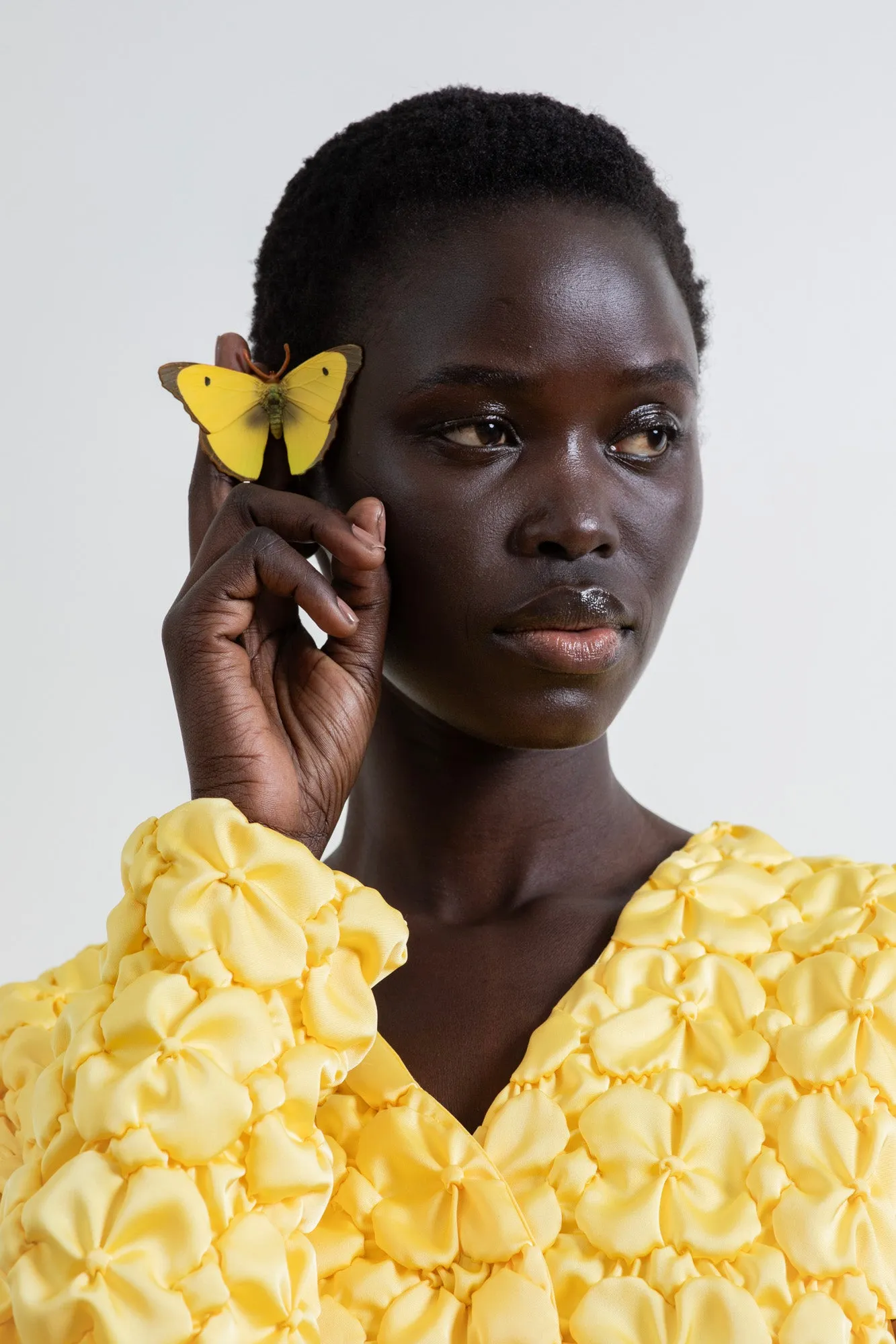 Silk petals